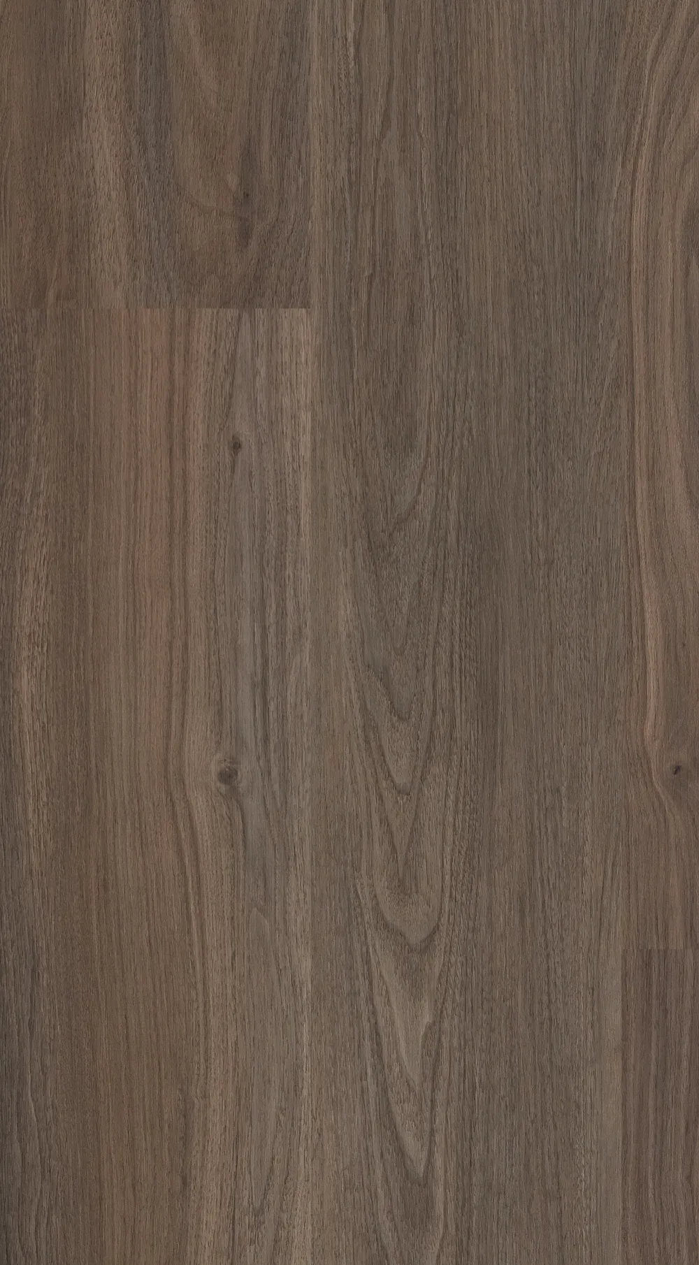 21205 Sagamore Hill | Urban Surfaces