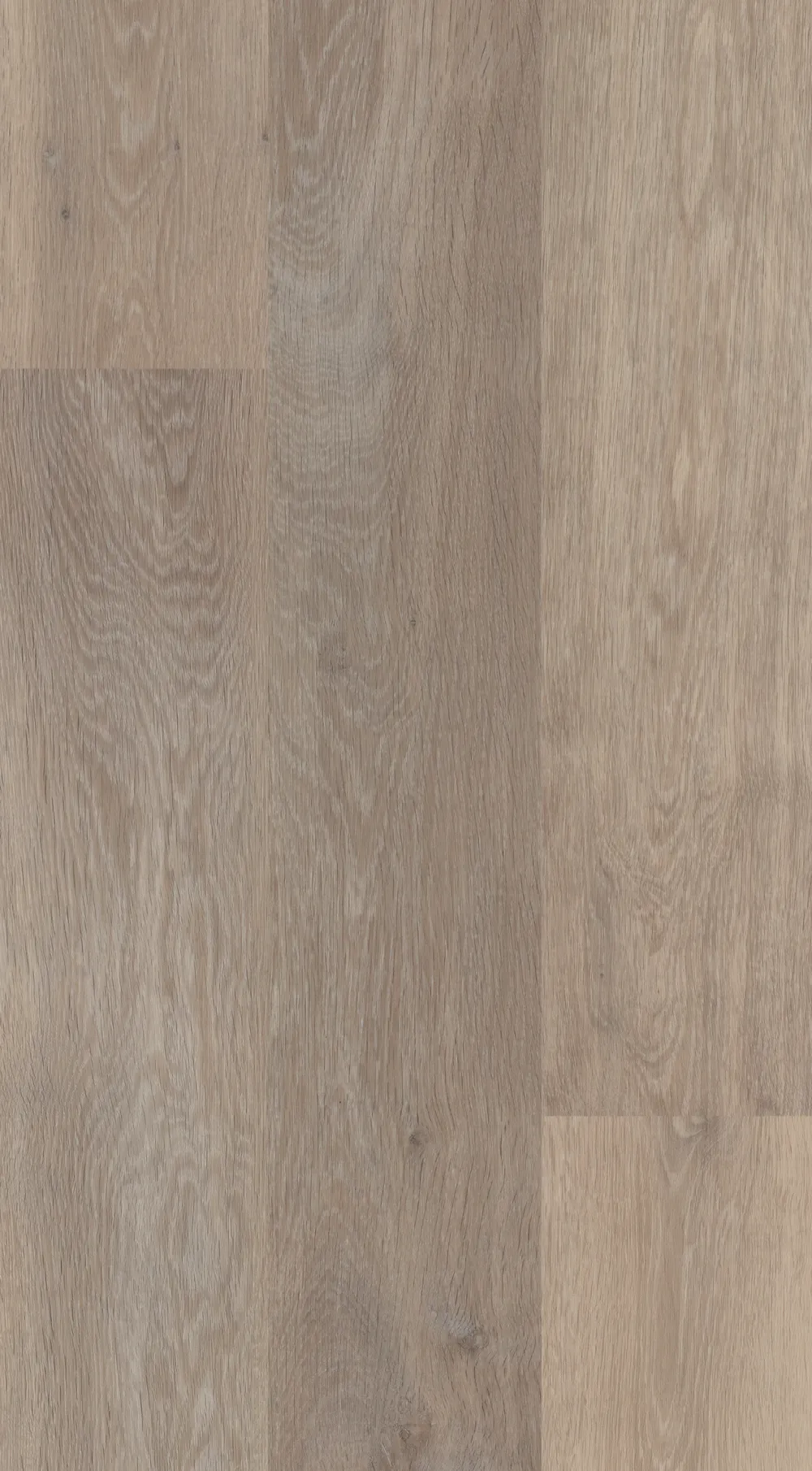 2199 Yosemite | Flooring Product, Studio 12 GlueDown Luxury Vinyl