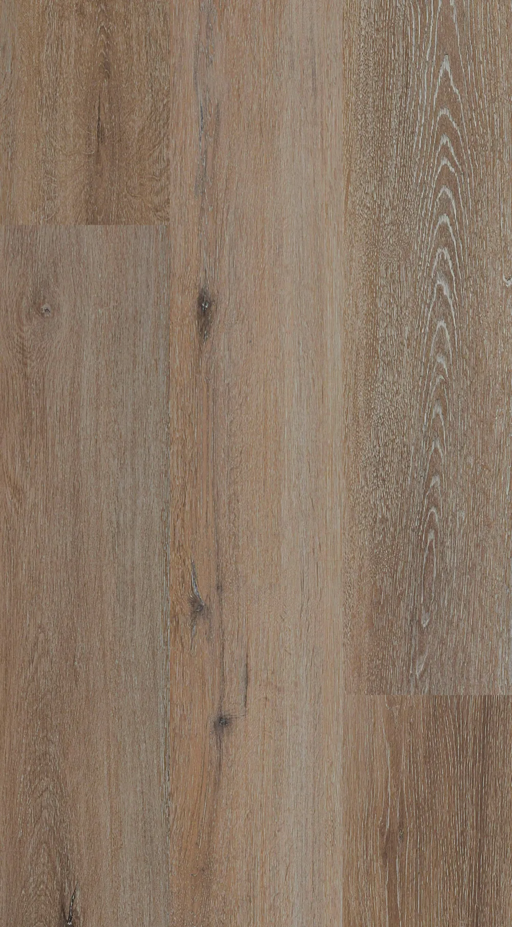 9509_Dakota_grid_1_1000px.webp