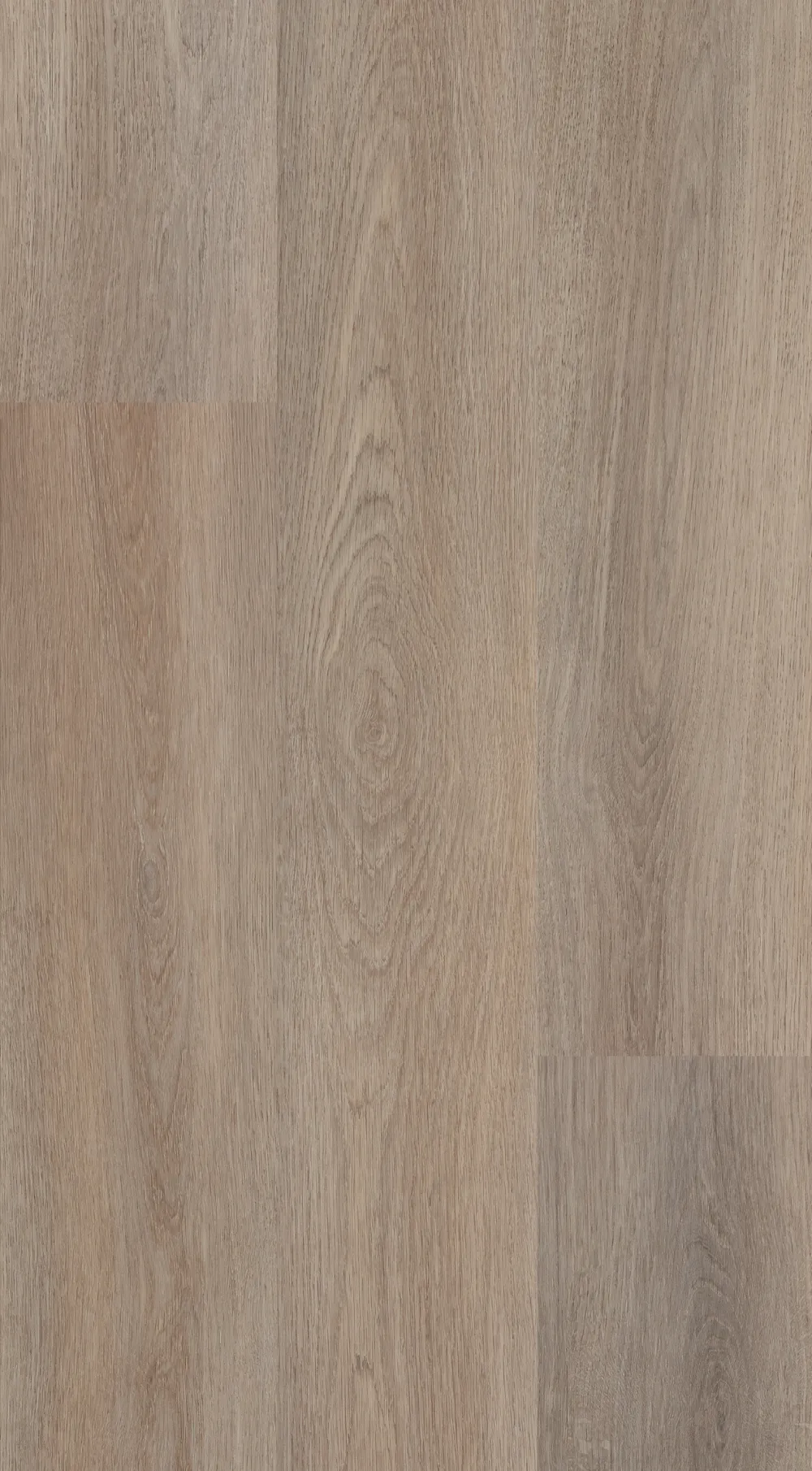 9529_Avondale_grid_1_1000px.webp 9529_Avondale_grid_1_1000px.webp