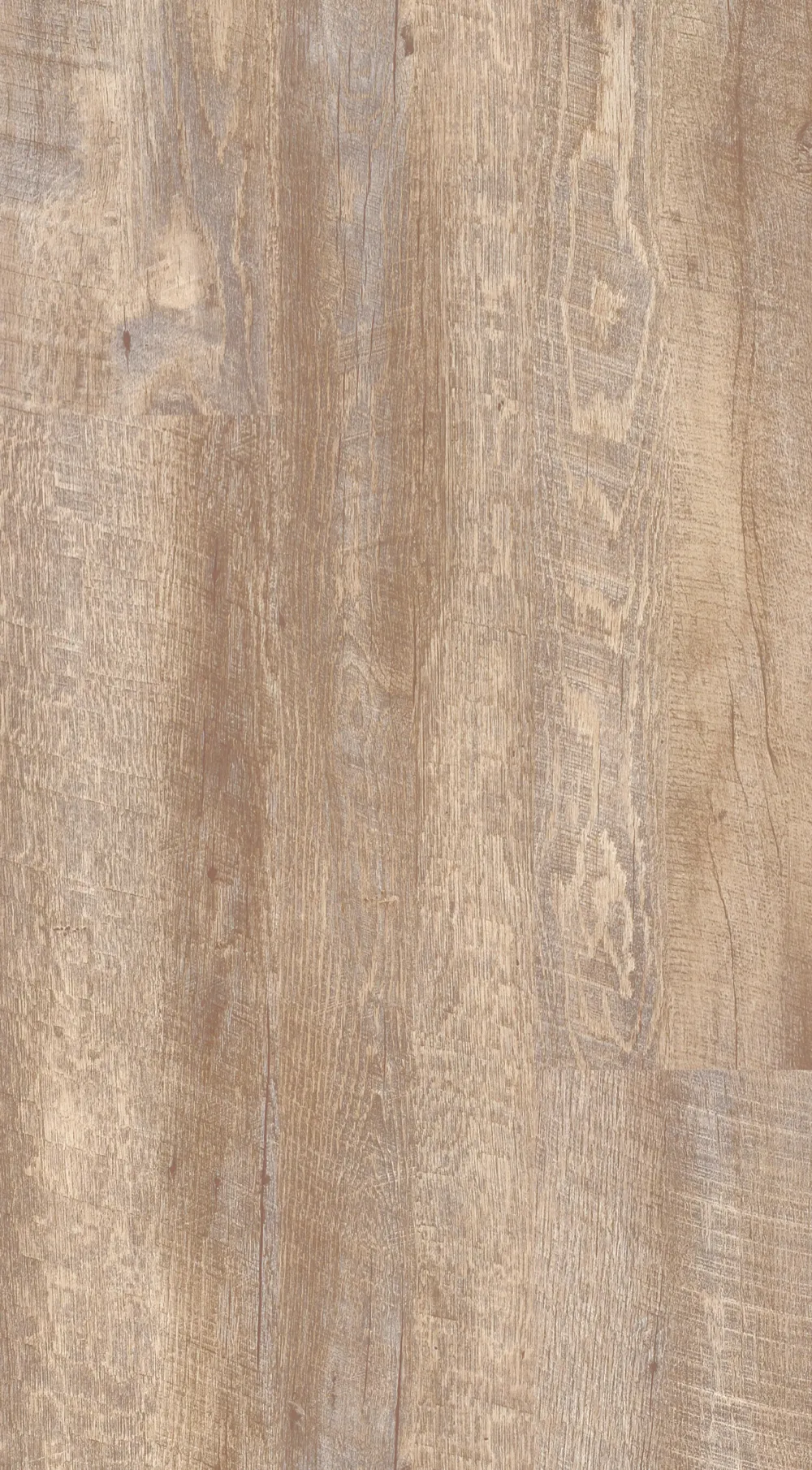 9553_Cheyenne_grid_1_1000px.webp