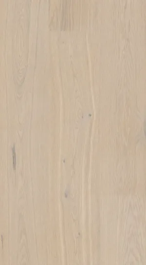 Large Oak Powder White swatch