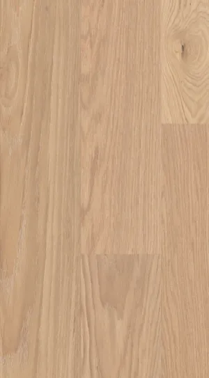 XL Oak Misty White swatch