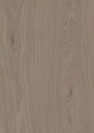 Product image for 346025 Earth Grey Oak Nature Grade Brushed Finish