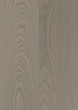 XL Ash Earth Grey swatch