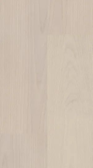 XXL Ash Powder White swatch