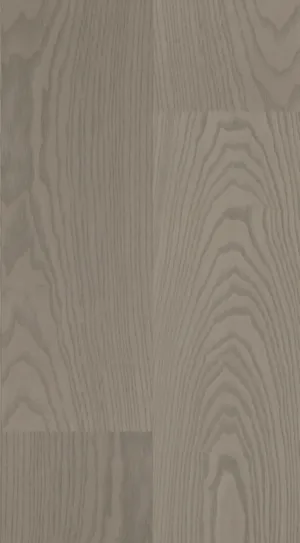 XXL Ash Earth Grey swatch